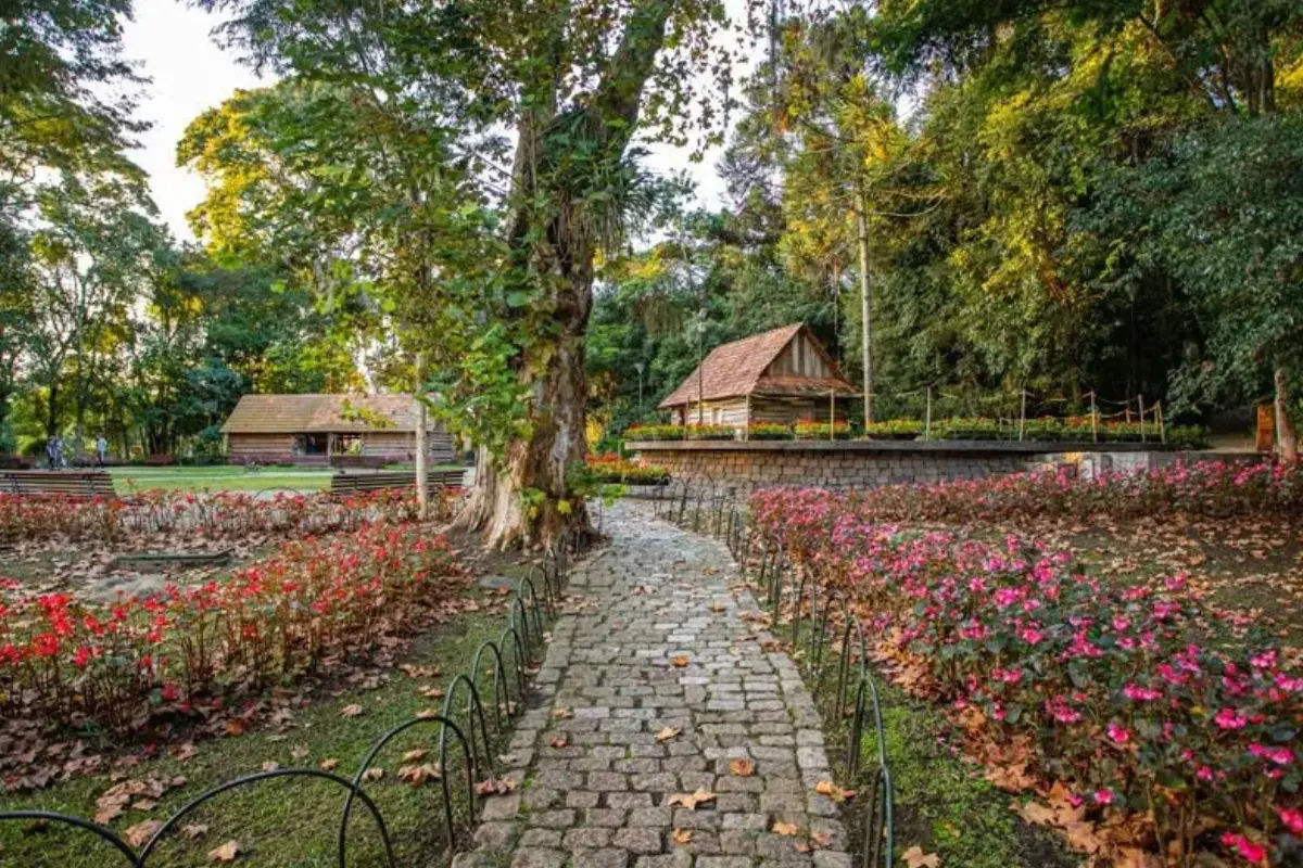 bosque do para da cidade de curitiba