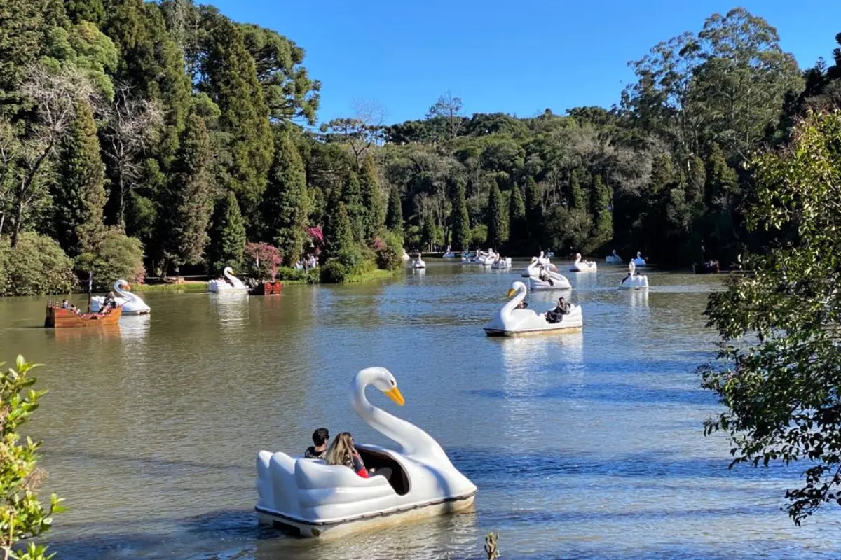 lago negro