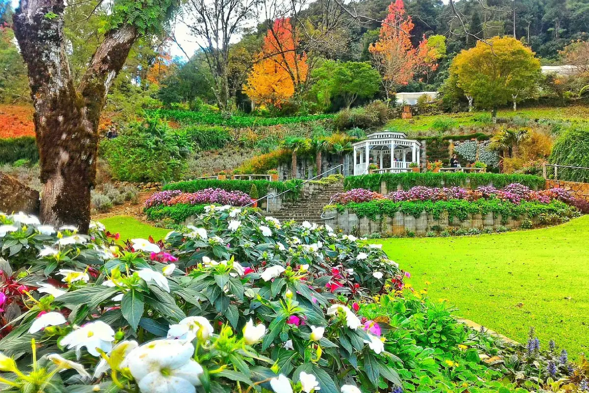 le jardim parque de lavanda