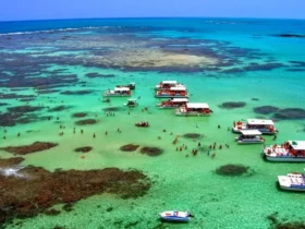 onde ficar na cidade de maragogi