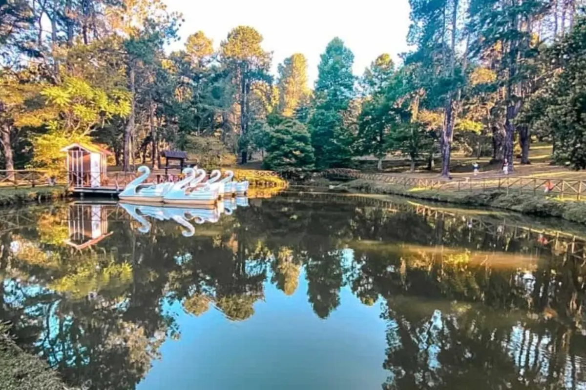 horto florestal de campos do jordão