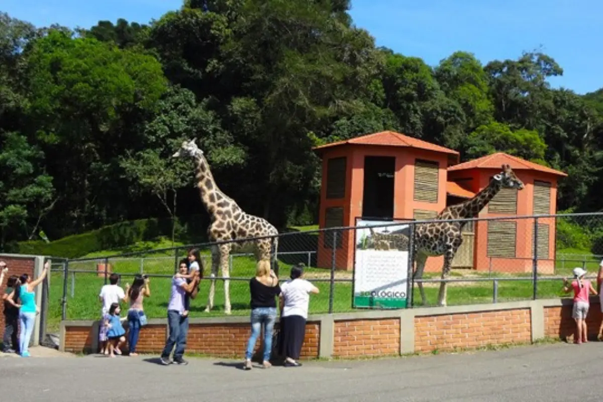 zoológico