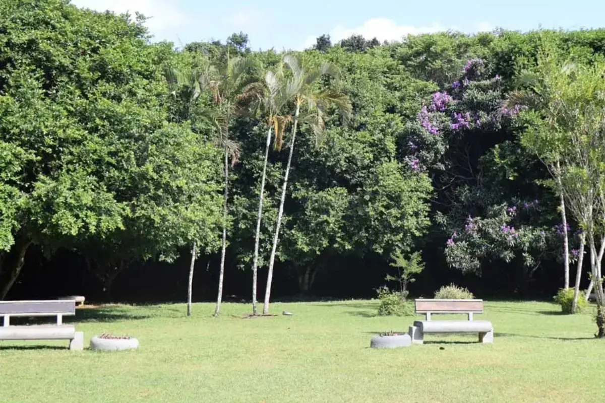 Parque Raimundo Gonçalez Malta