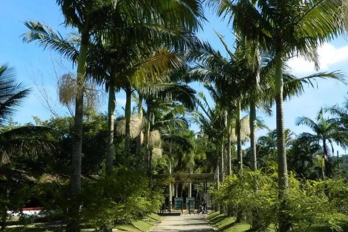 Zoológico do Complexo Ambiental Cyro Gevaerd