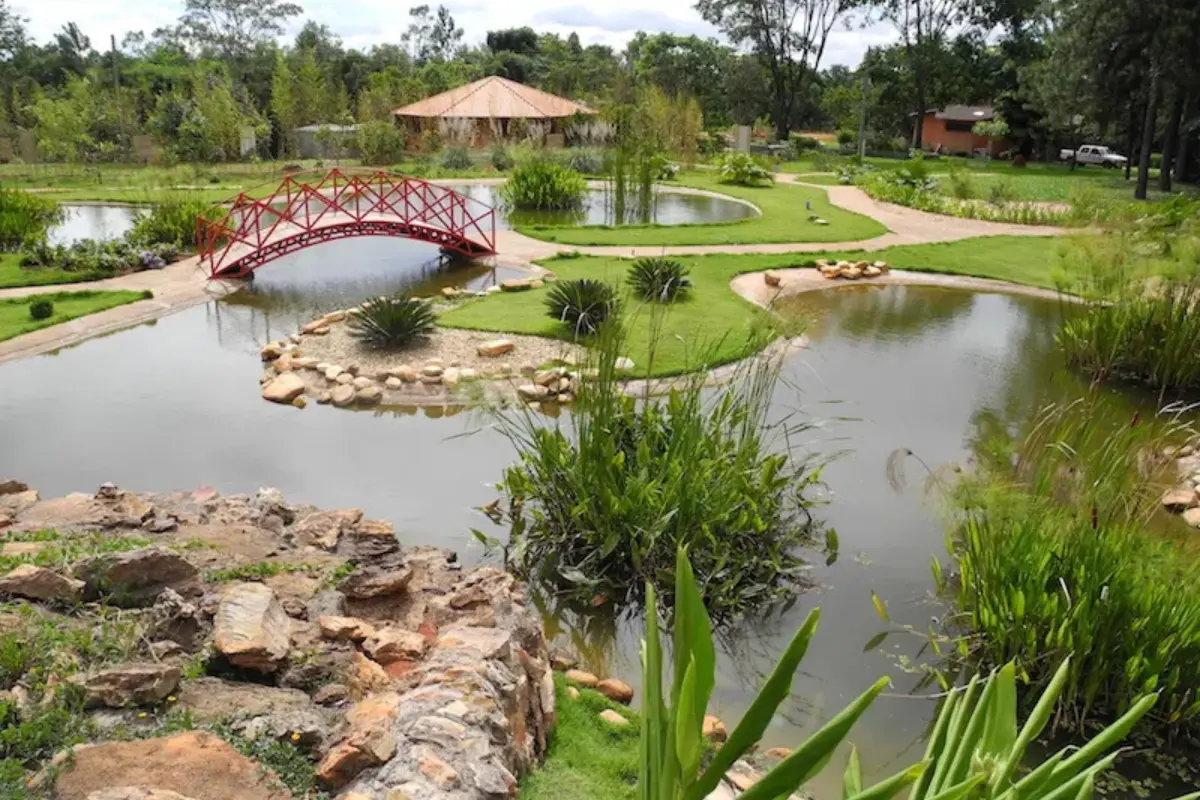 jardim botânico cidade de brasília