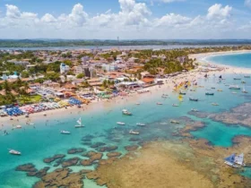 o que fazer na cidade de porto de galinhas