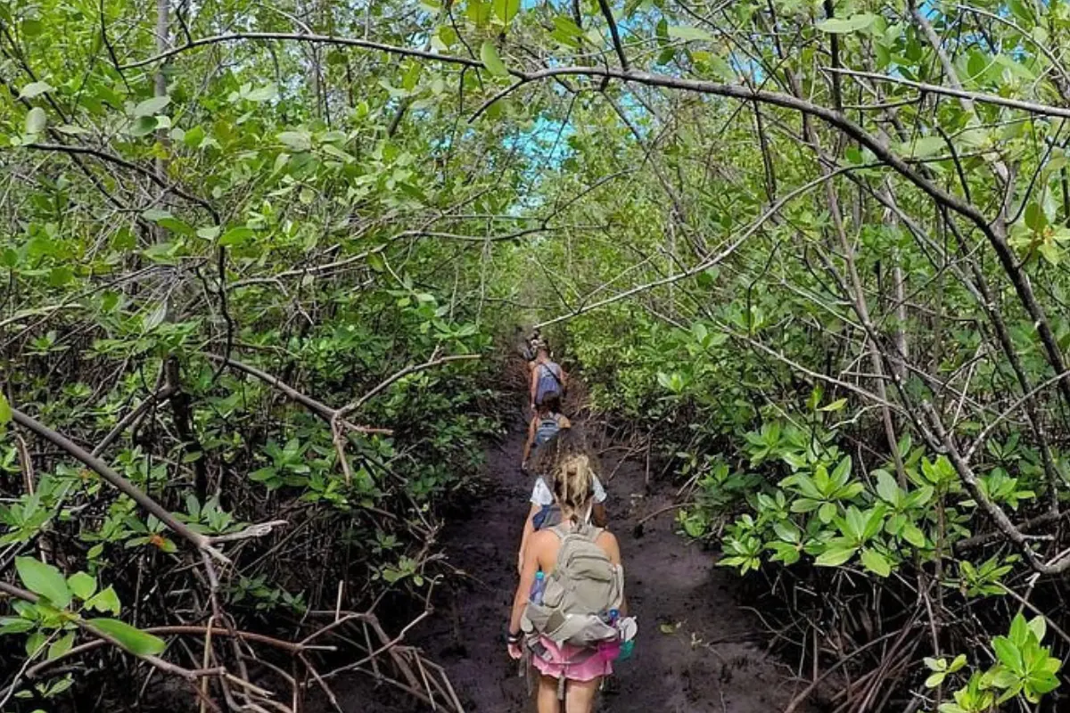 caminhadas e trilhas